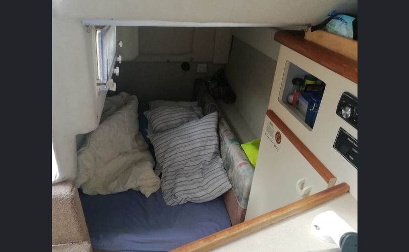 Bayliner 2355 Ciera-kuva-3